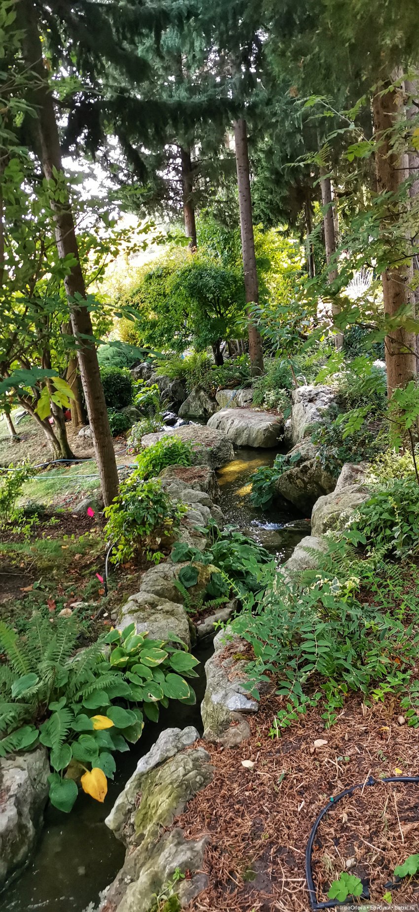 Большое путешествие маленькой девочки Часть 2