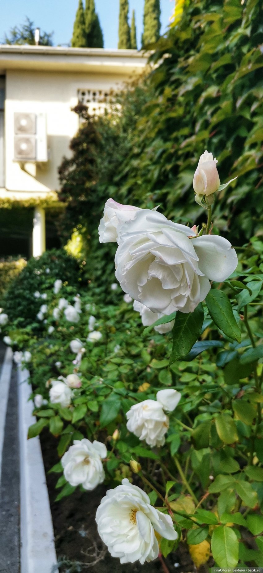 Большое путешествие маленькой девочки Часть 2