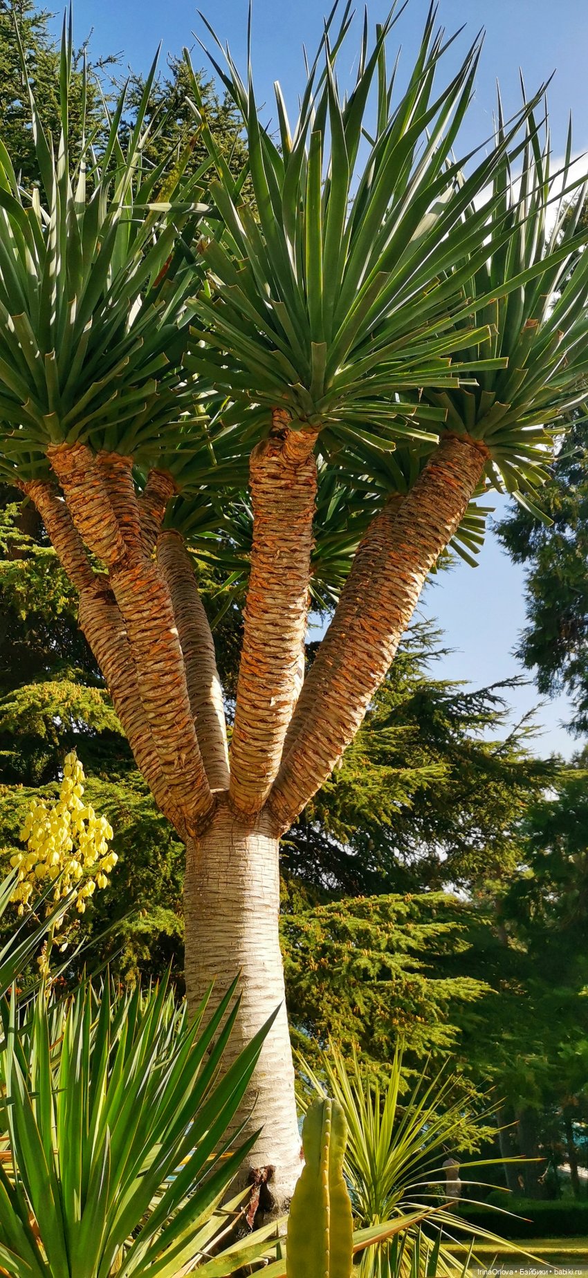 Большое путешествие маленькой девочки Часть 2