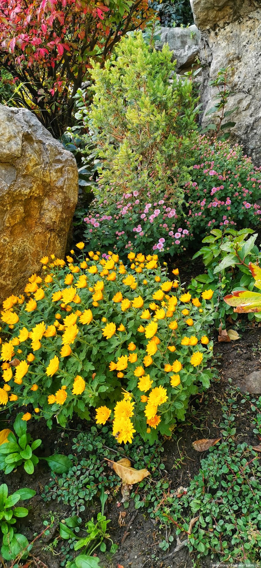 Большое путешествие маленькой девочки Часть 2