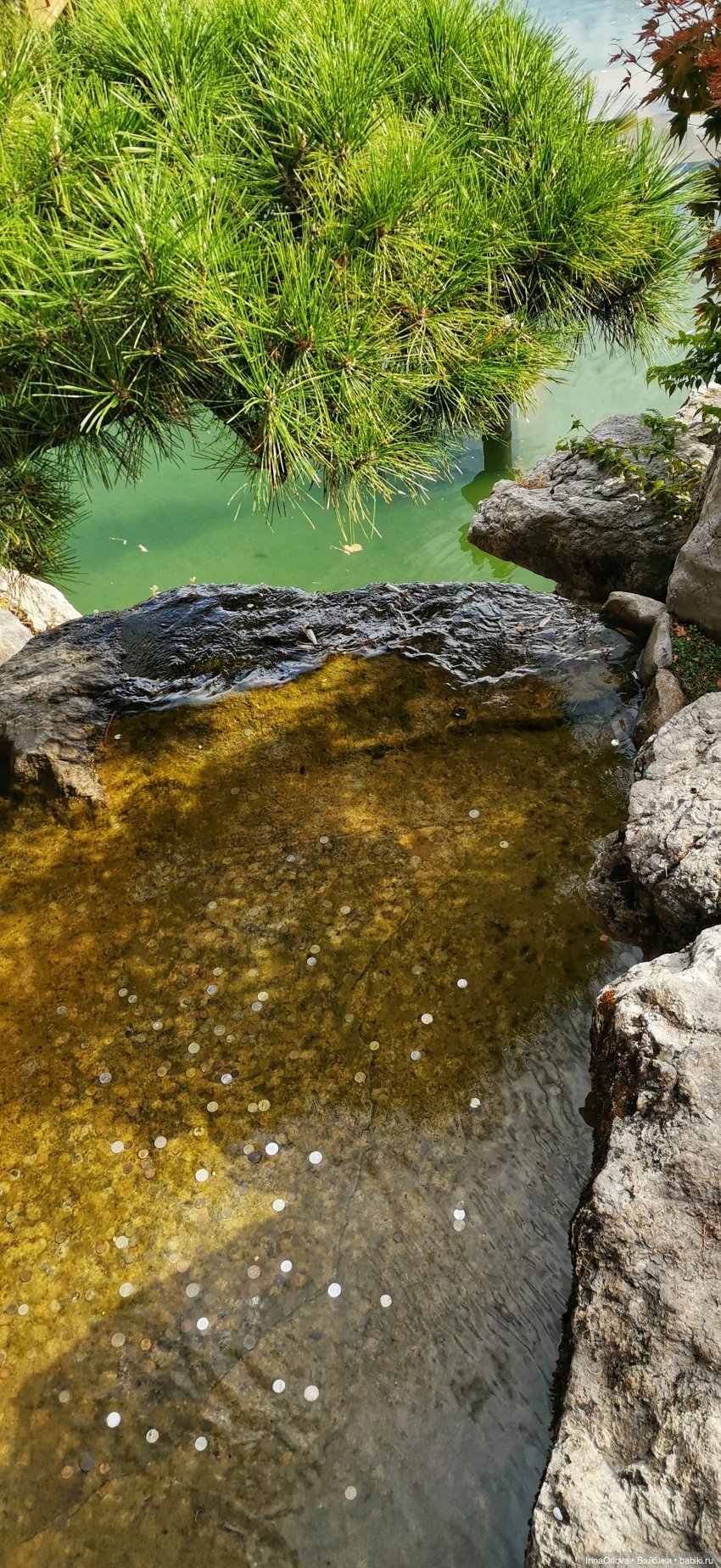 Большое путешествие маленькой девочки Часть 2