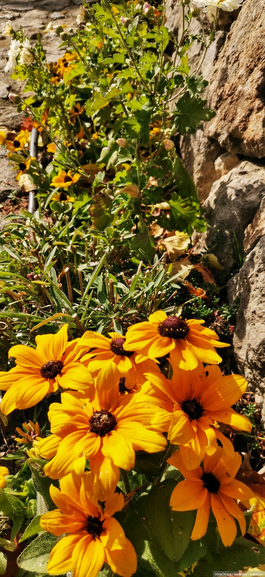 Большое путешествие маленькой девочки Часть 2