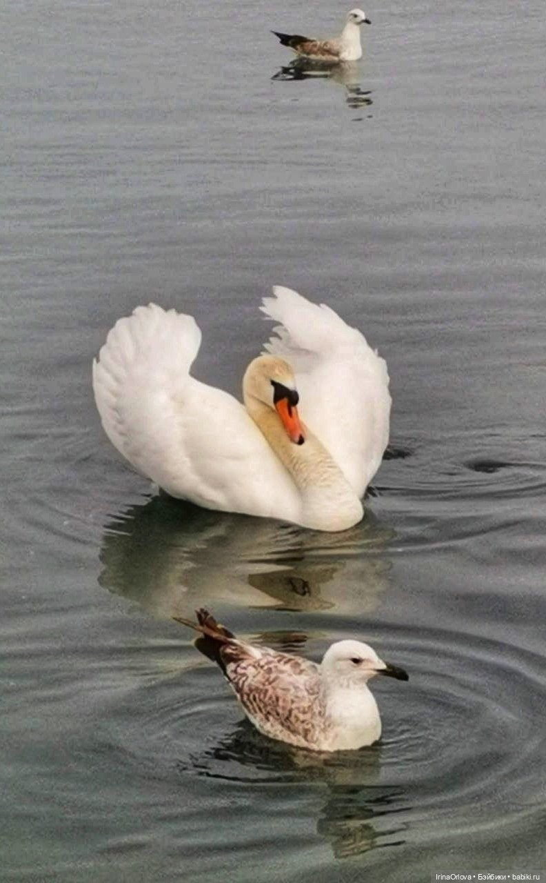 Вот оно какое море (разноцветно - голубое)🌊 (фото 5)