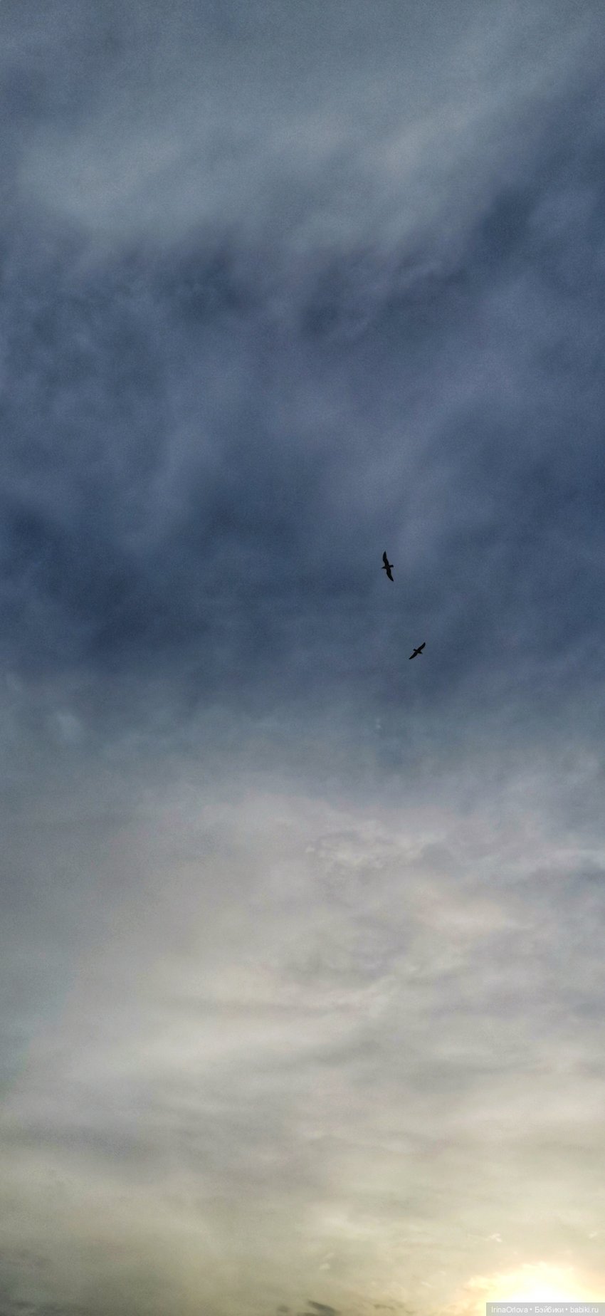 Вот оно какое море (разноцветно - голубое)🌊