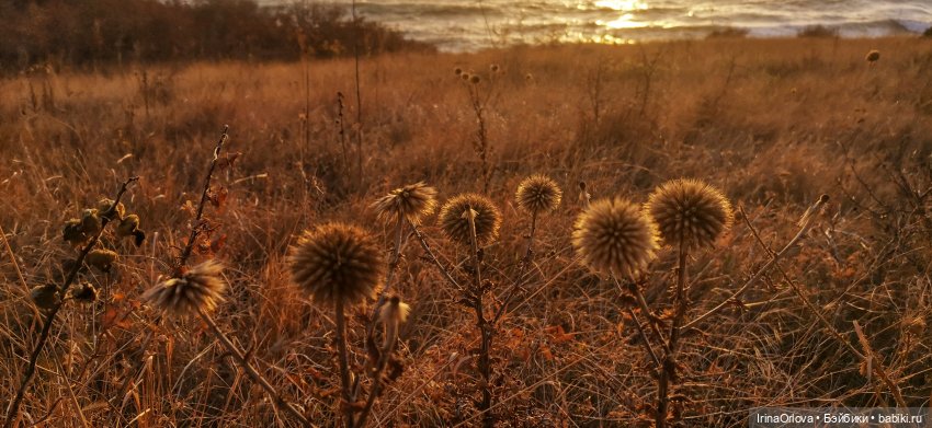 Вот оно какое море (разноцветно - голубое)🌊