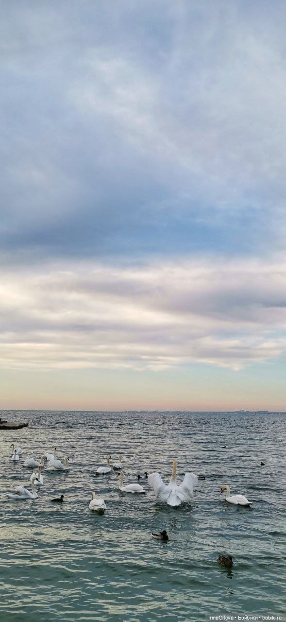 Вот оно какое море (разноцветно - голубое)🌊