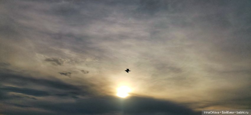 Вот оно какое море (разноцветно - голубое)🌊