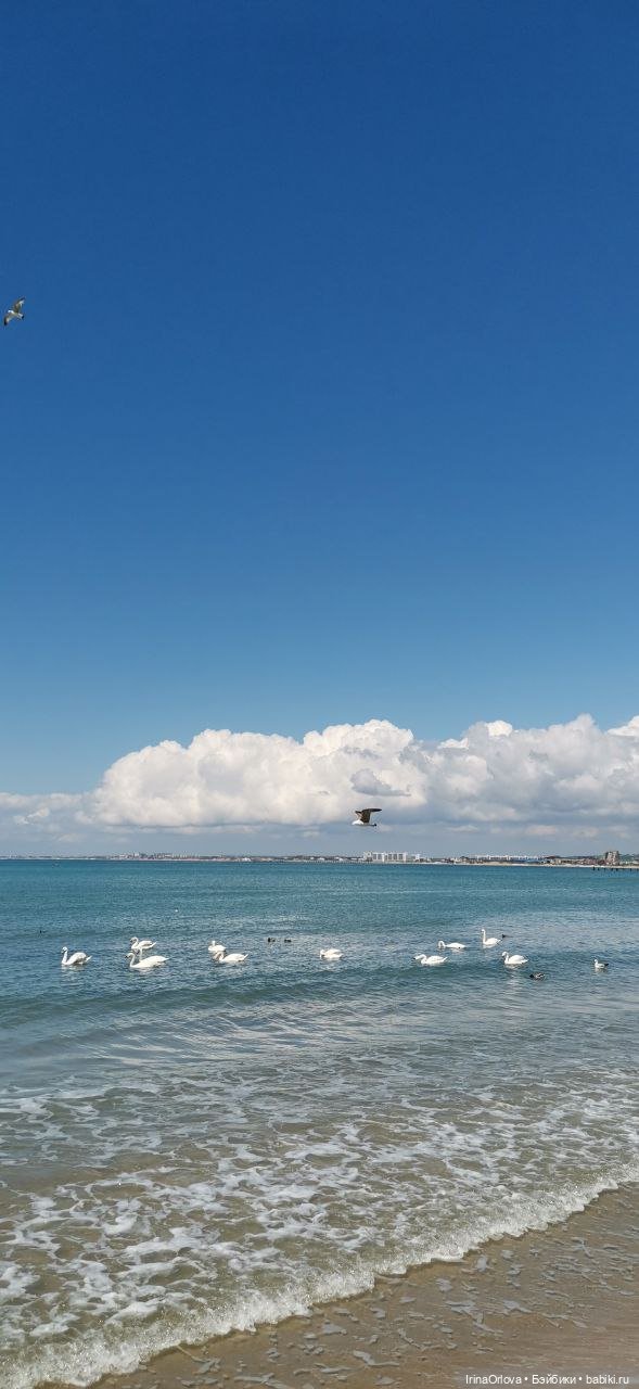 Вот оно какое море (разноцветно - голубое)🌊