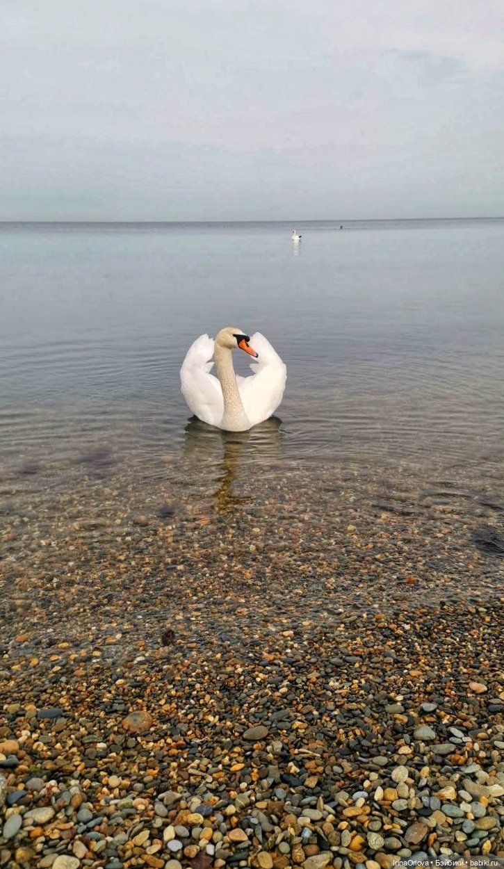 Вот оно какое море (разноцветно - голубое)🌊 (фото 4)
