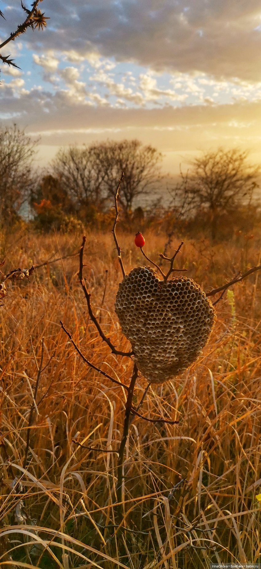 Вот оно какое море (разноцветно - голубое)🌊