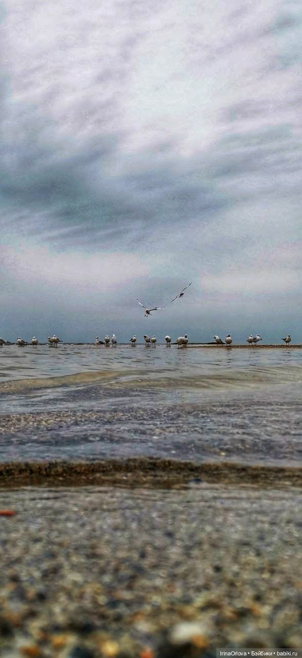 Вот оно какое море (разноцветно - голубое)🌊 (фото 6)