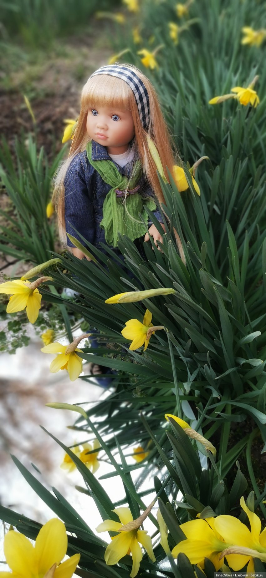 Хороши в саду моём первые цветочки🌼🌼🌼