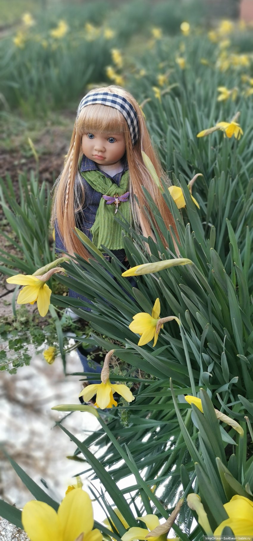 Хороши в саду моём первые цветочки🌼🌼🌼