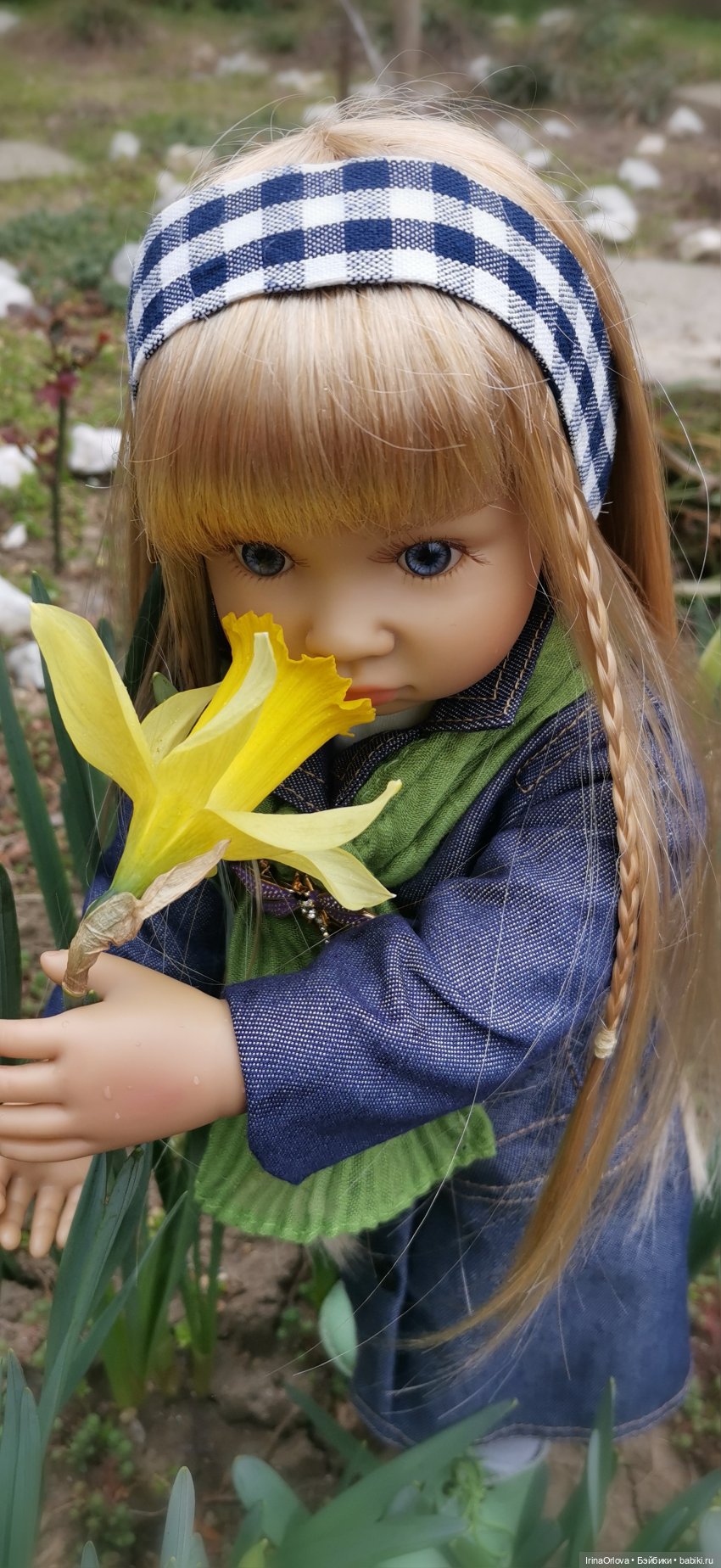 Хороши в саду моём первые цветочки🌼🌼🌼