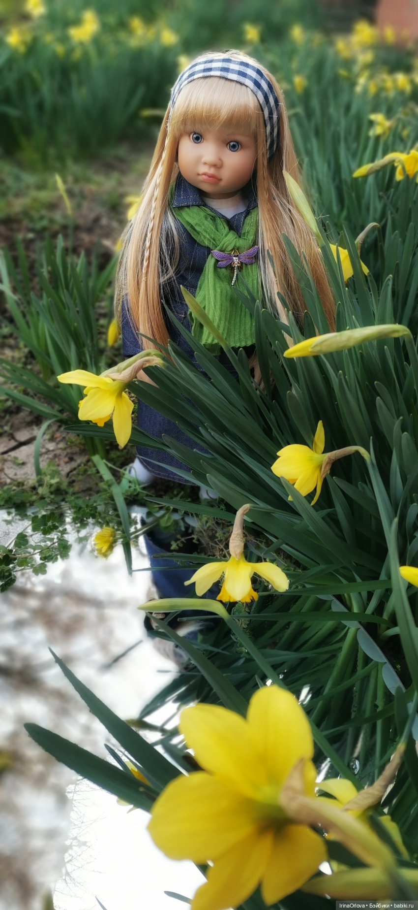 Хороши в саду моём первые цветочки🌼🌼🌼