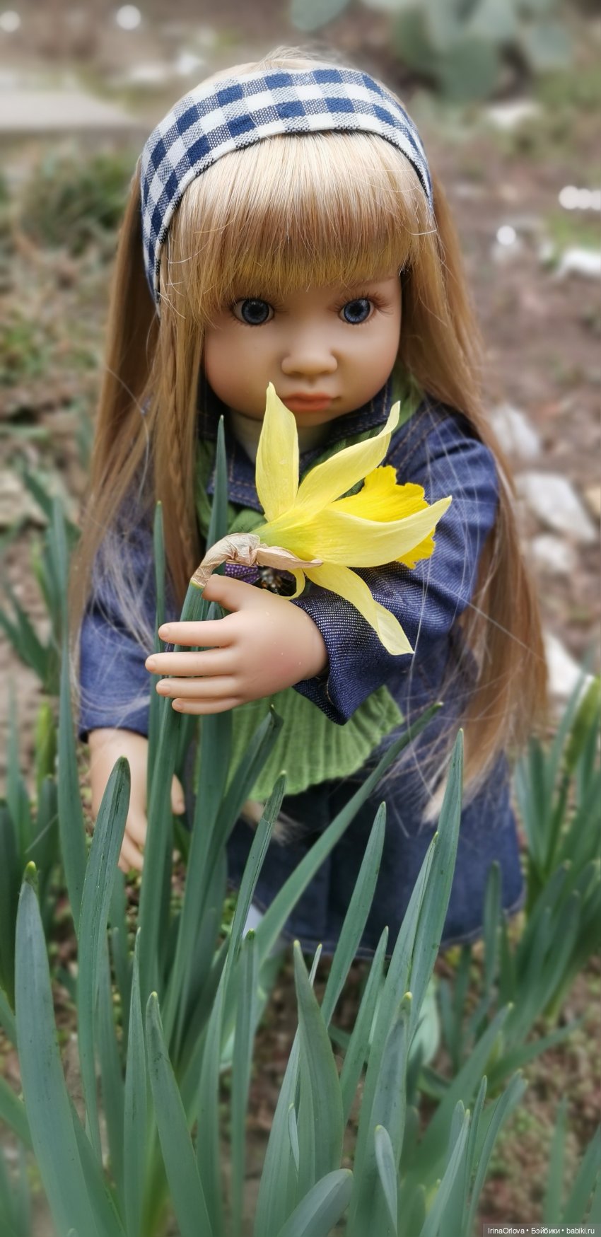 Хороши в саду моём первые цветочки🌼🌼🌼