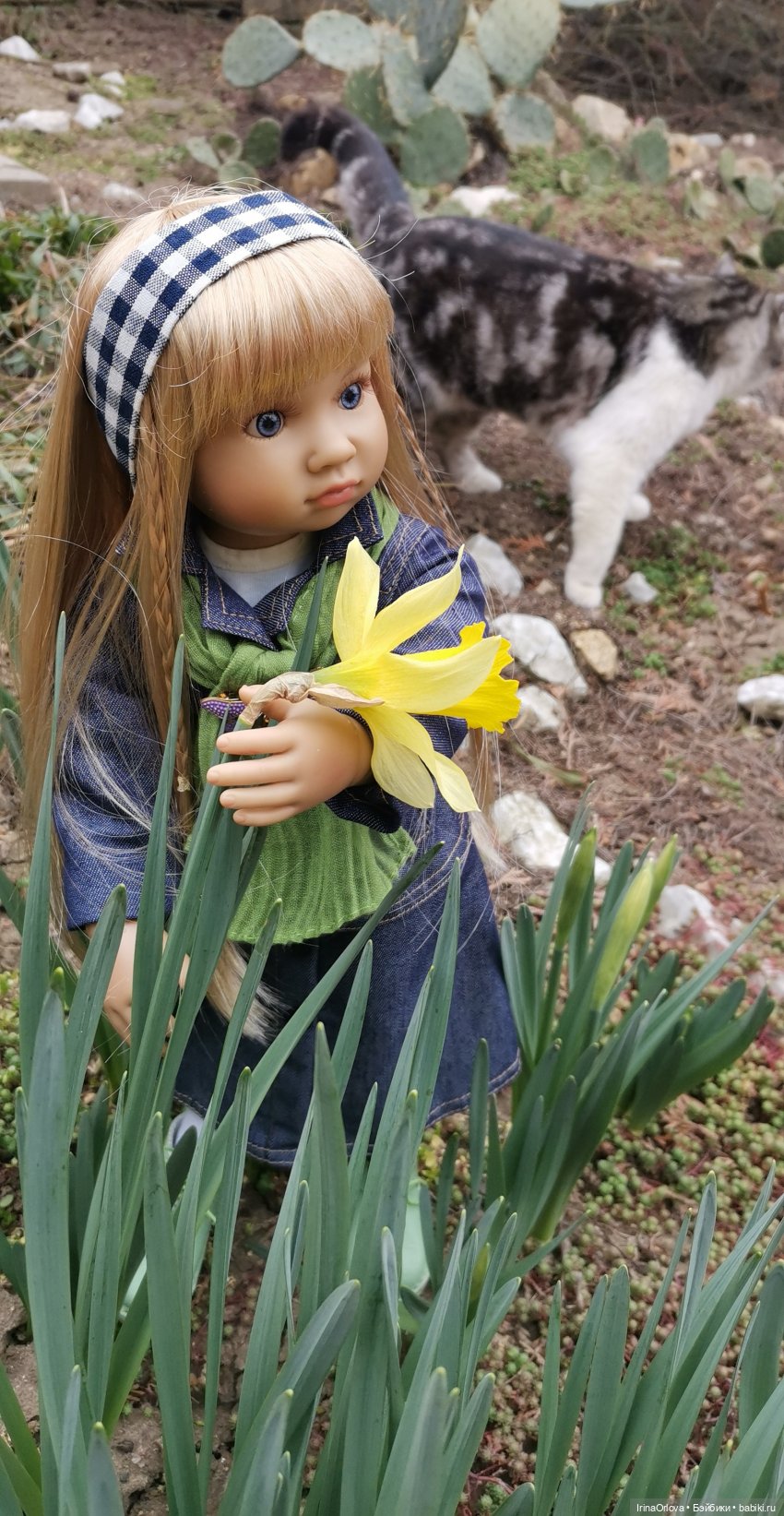 Хороши в саду моём первые цветочки🌼🌼🌼