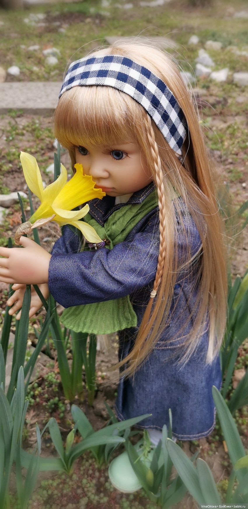 Хороши в саду моём первые цветочки🌼🌼🌼