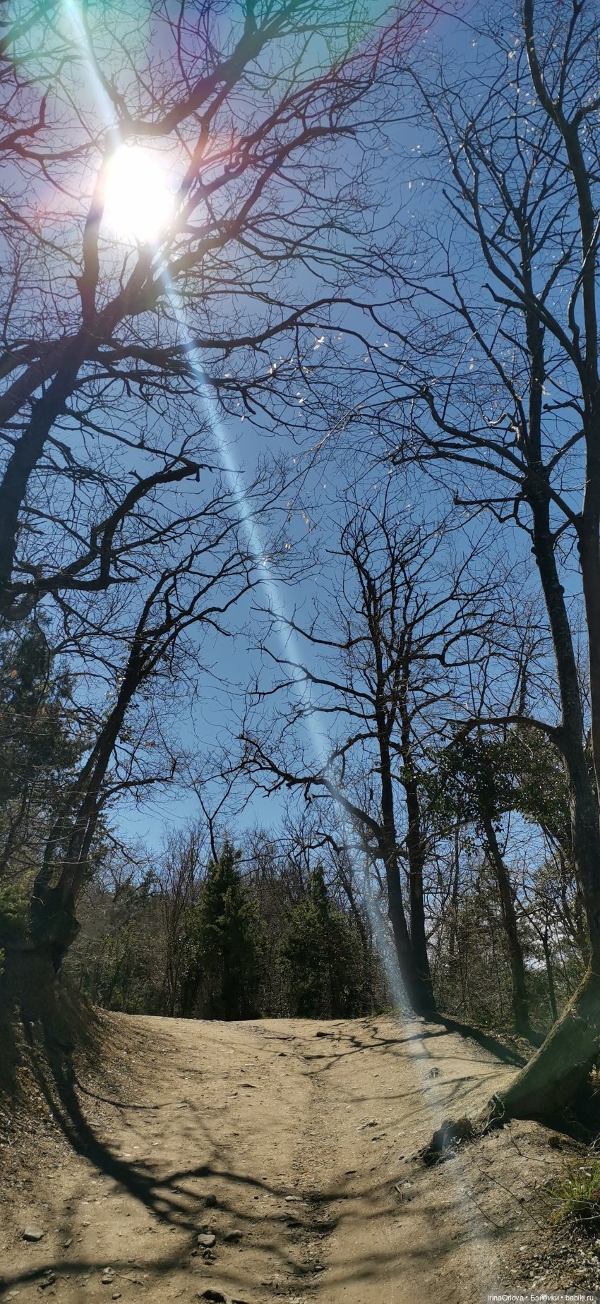 Весеннее путешествие с Машей