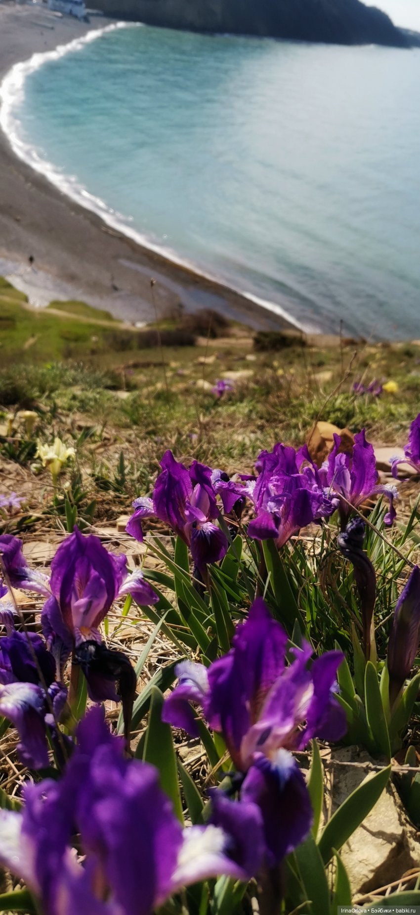 Весеннее путешествие с Машей (фото 9)