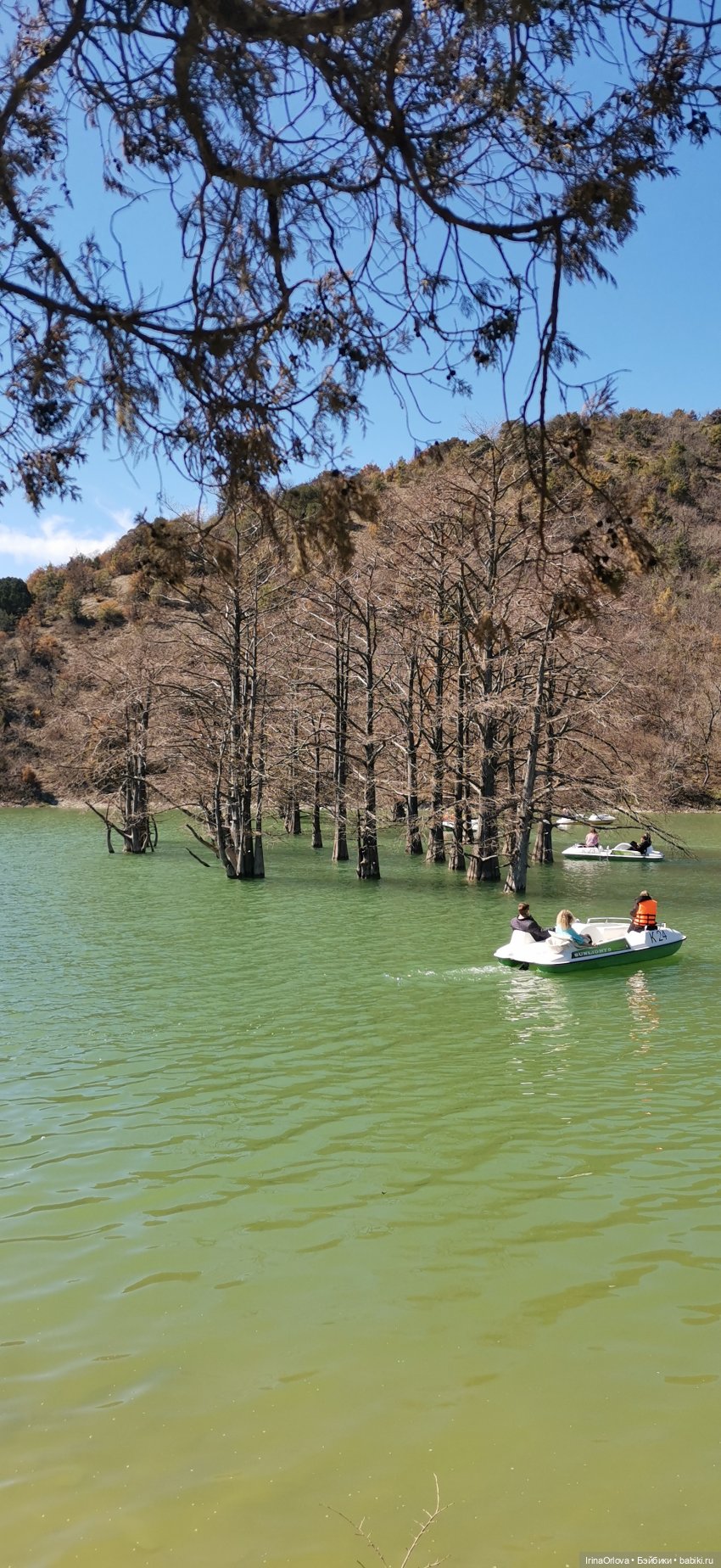 Весеннее путешествие с Машей