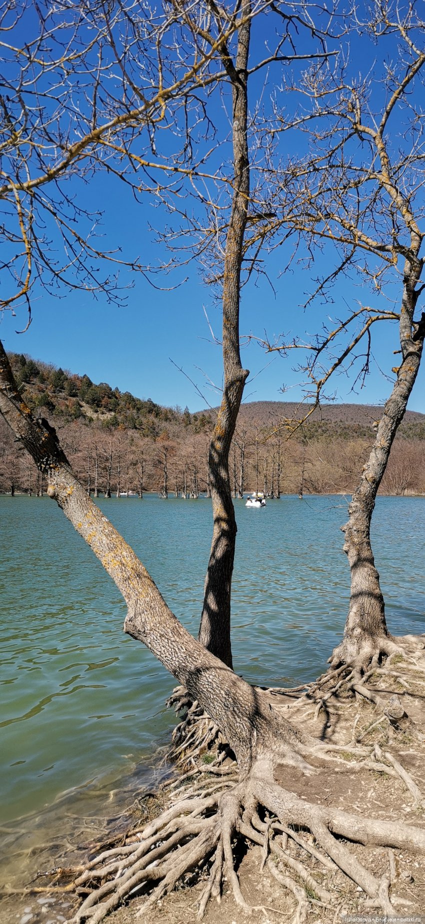 Весеннее путешествие с Машей