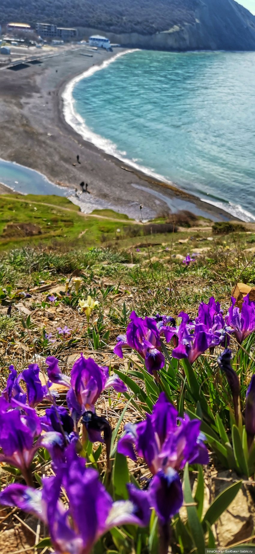 Весеннее путешествие с Машей (фото 5)