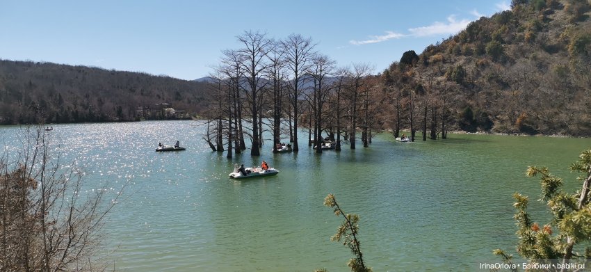 Весеннее путешествие с Машей