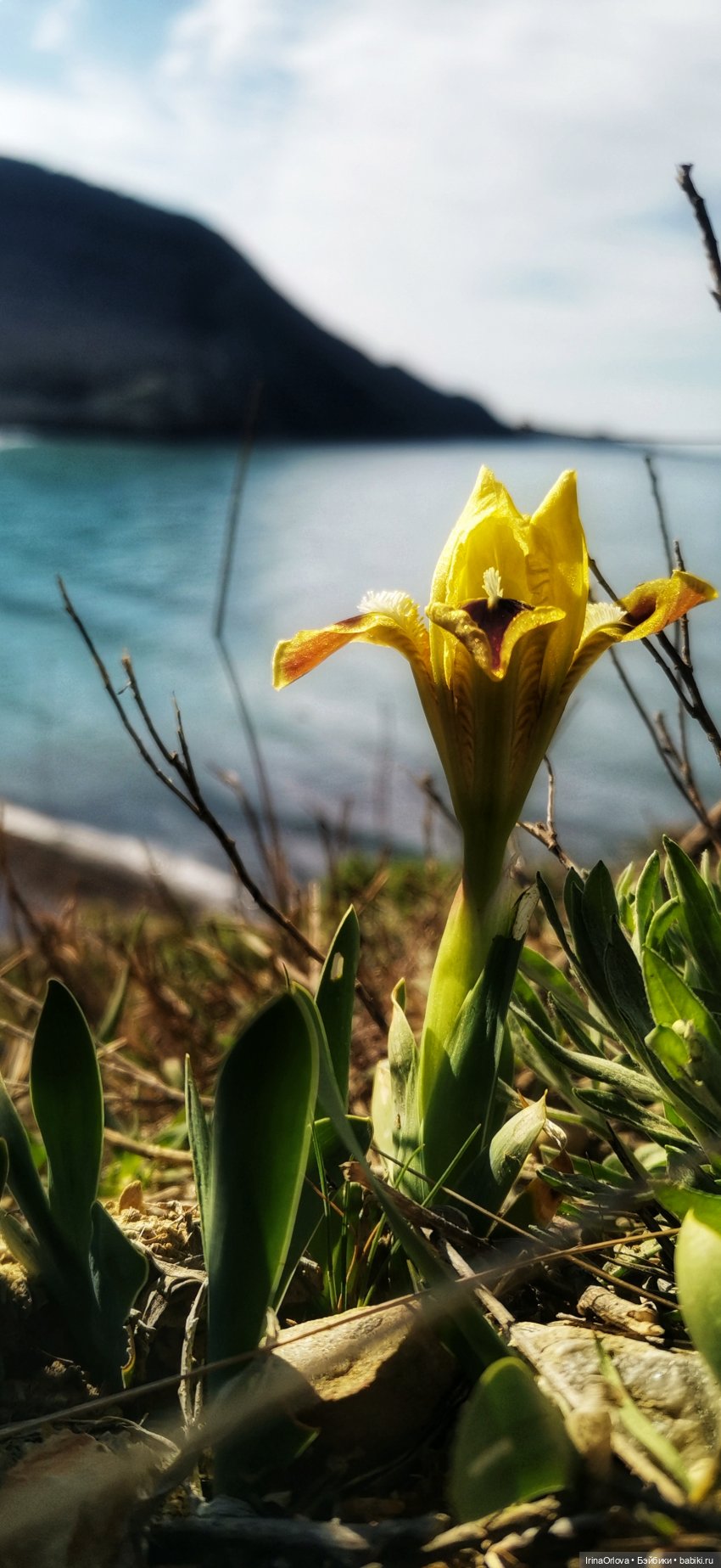 Весеннее путешествие с Машей