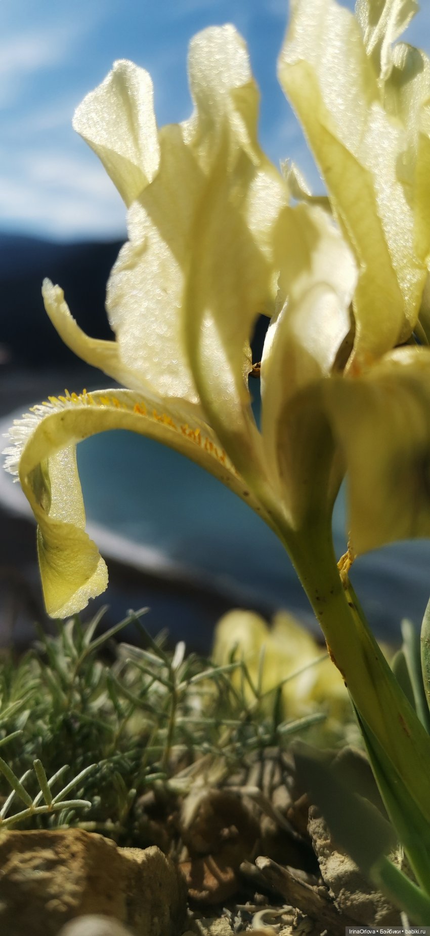 Весеннее путешествие с Машей