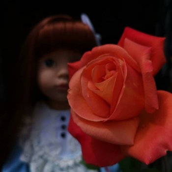 5 лет - всё по настоящему