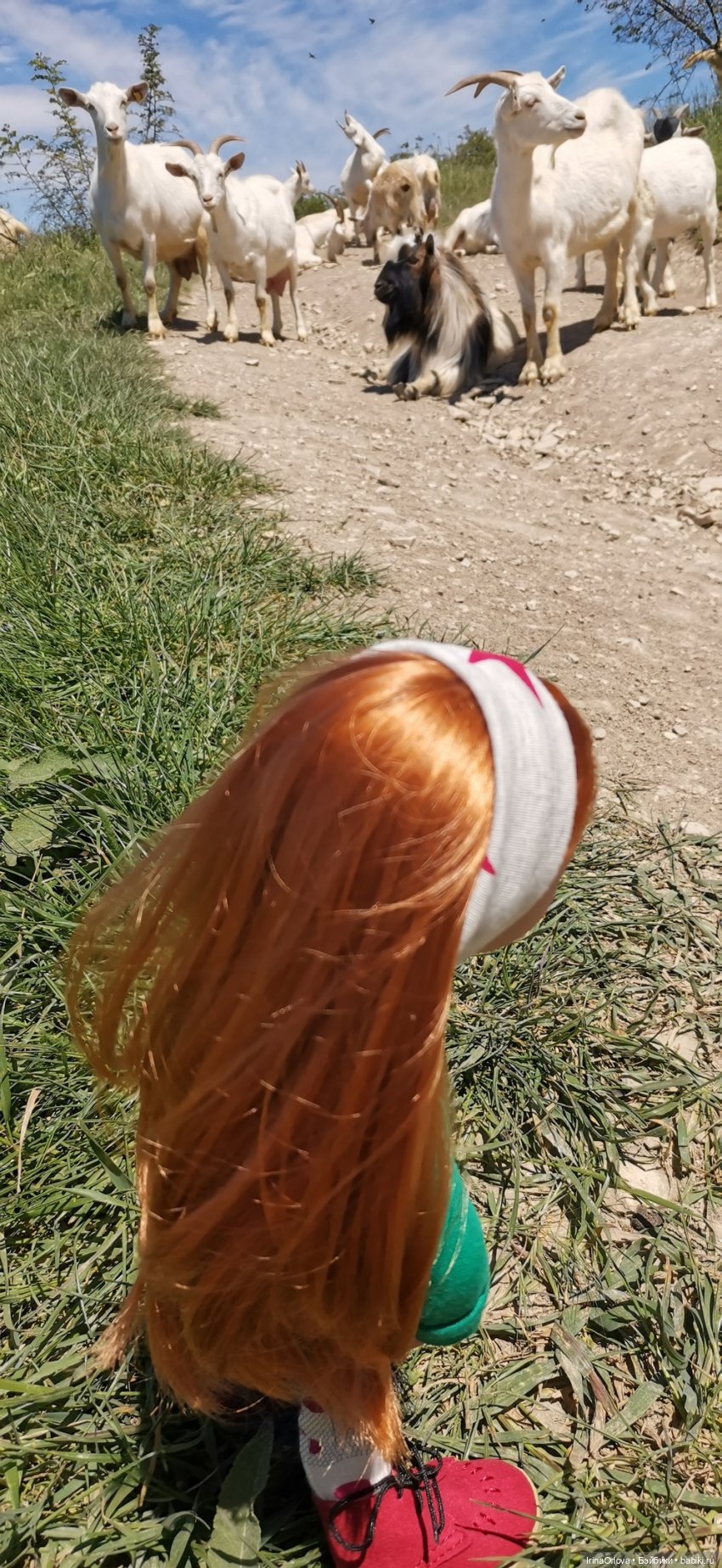 5 лет - всё по настоящему