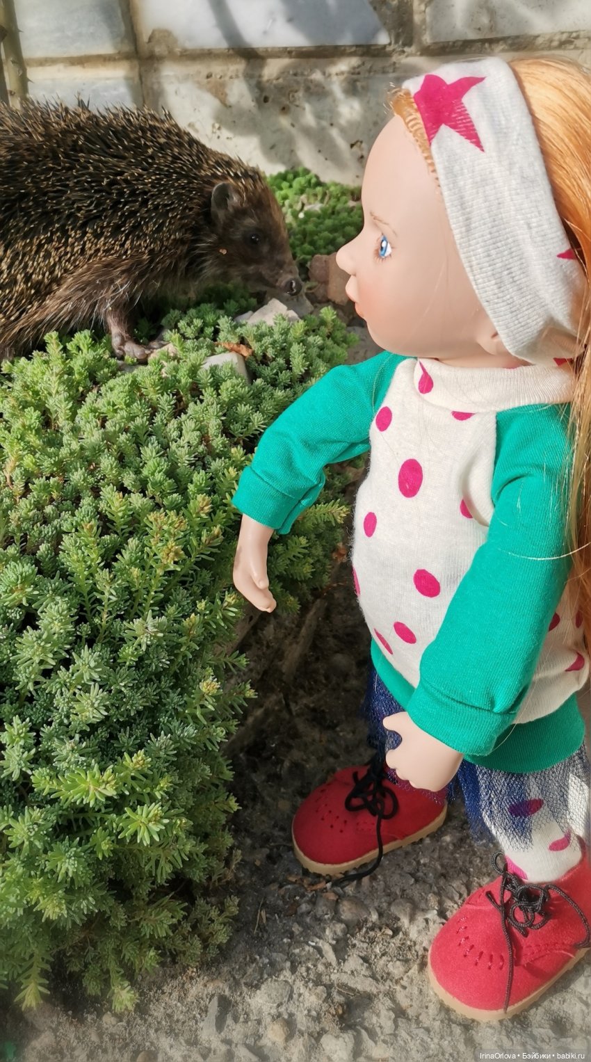 5 лет - всё по настоящему