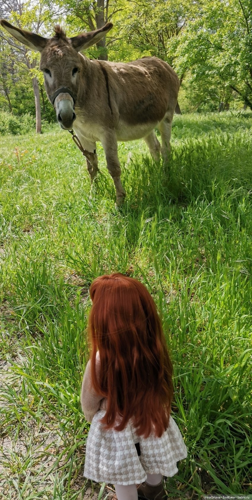 5 лет - всё по настоящему