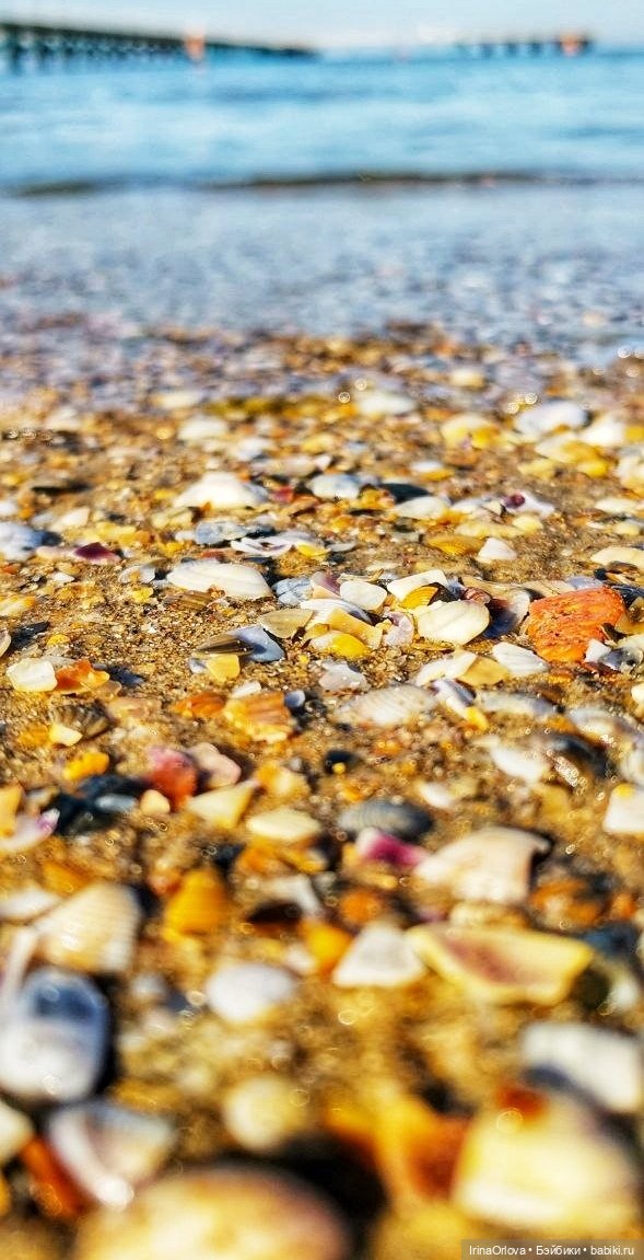 Подарок моря и солнца🌊🌞🐚 — Игровые куклы Zwergnase (Цвергназе) Junior: Джуниор