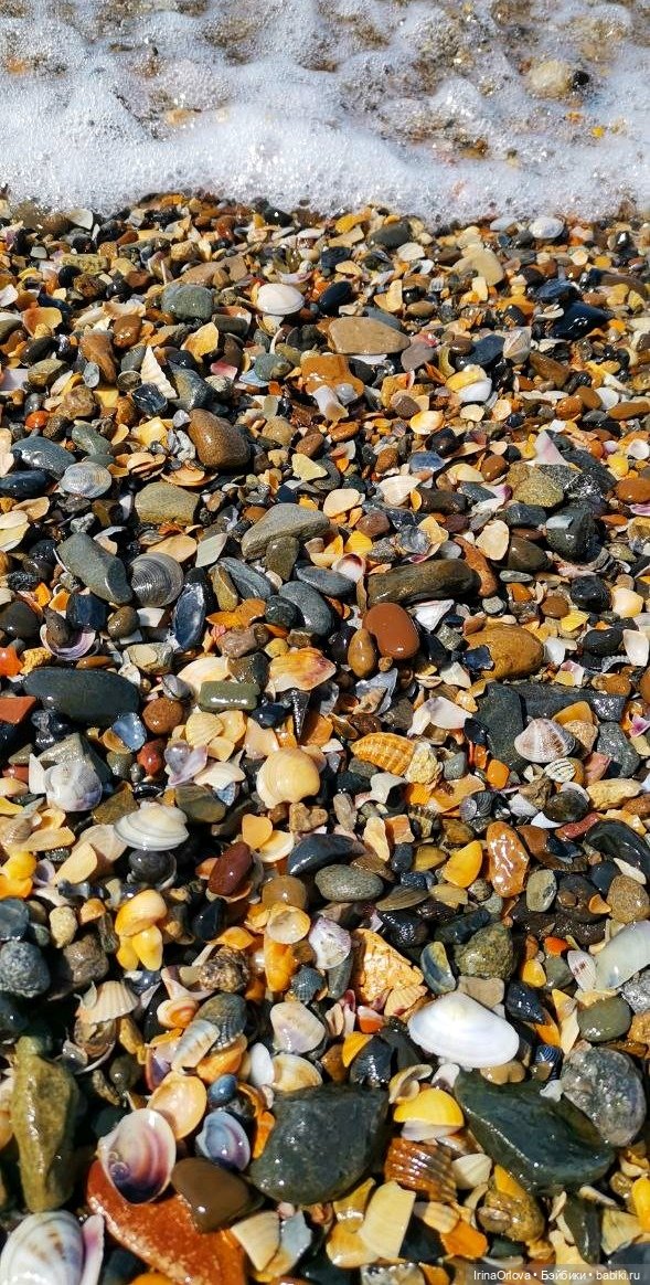 Подарок моря и солнца🌊🌞🐚 — Игровые куклы Zwergnase (Цвергназе) Junior: Джуниор (фото 6)