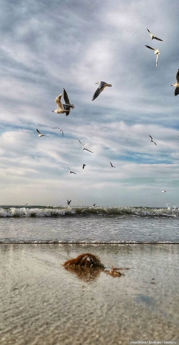 Подарок моря и солнца🌊🌞🐚 — Игровые куклы Zwergnase (Цвергназе) Junior: Джуниор