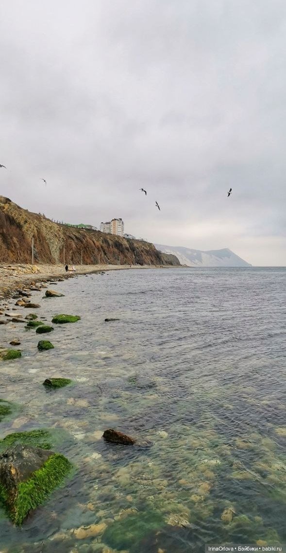 Подарок моря и солнца🌊🌞🐚 — Игровые куклы Zwergnase (Цвергназе) Junior: Джуниор