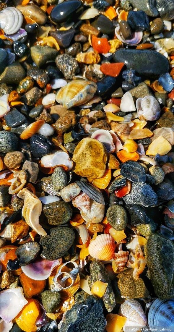 Подарок моря и солнца🌊🌞🐚 — Игровые куклы Zwergnase (Цвергназе) Junior: Джуниор (фото 5)