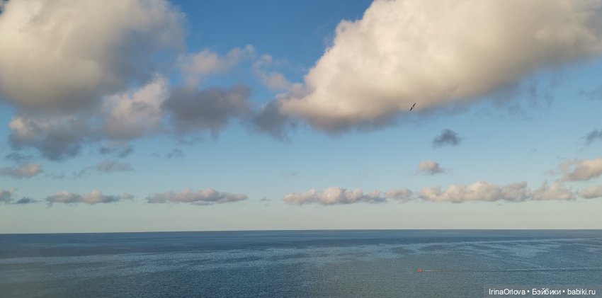 Подарок моря и солнца🌊🌞🐚 — Игровые куклы Zwergnase (Цвергназе) Junior: Джуниор