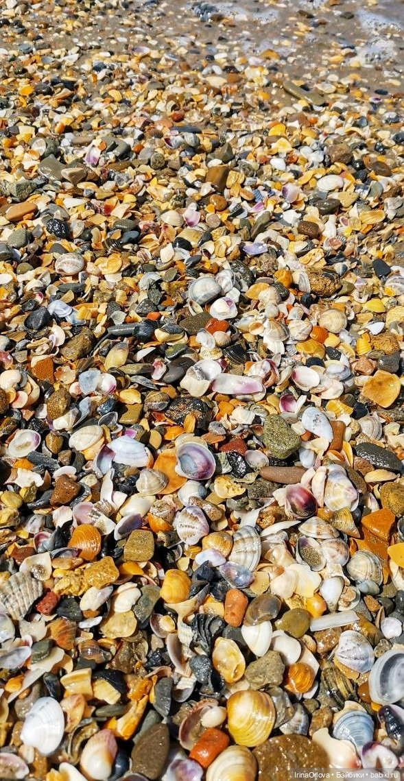 Подарок моря и солнца🌊🌞🐚 — Игровые куклы Zwergnase (Цвергназе) Junior: Джуниор