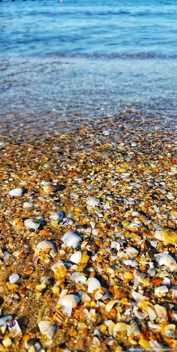 Подарок моря и солнца🌊🌞🐚 — Игровые куклы Zwergnase (Цвергназе) Junior: Джуниор