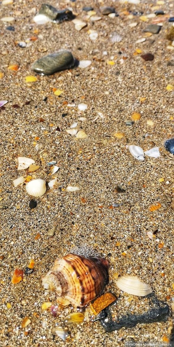 Подарок моря и солнца🌊🌞🐚 — Игровые куклы Zwergnase (Цвергназе) Junior: Джуниор