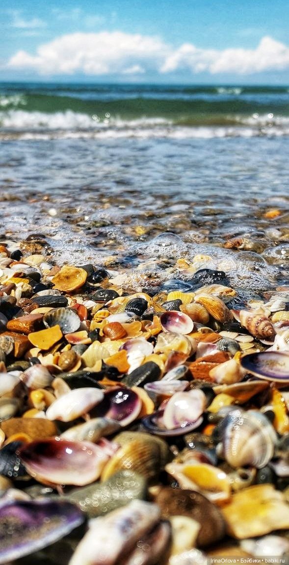 Подарок моря и солнца🌊🌞🐚 — Игровые куклы Zwergnase (Цвергназе) Junior: Джуниор