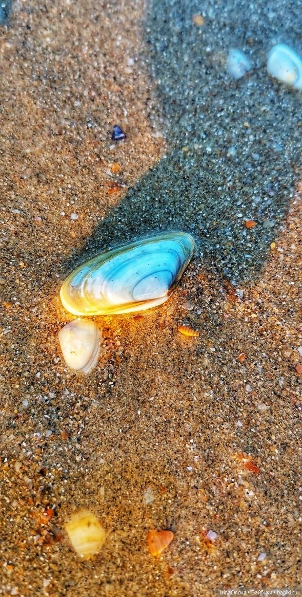 Подарок моря и солнца🌊🌞🐚 — Игровые куклы Zwergnase (Цвергназе) Junior: Джуниор