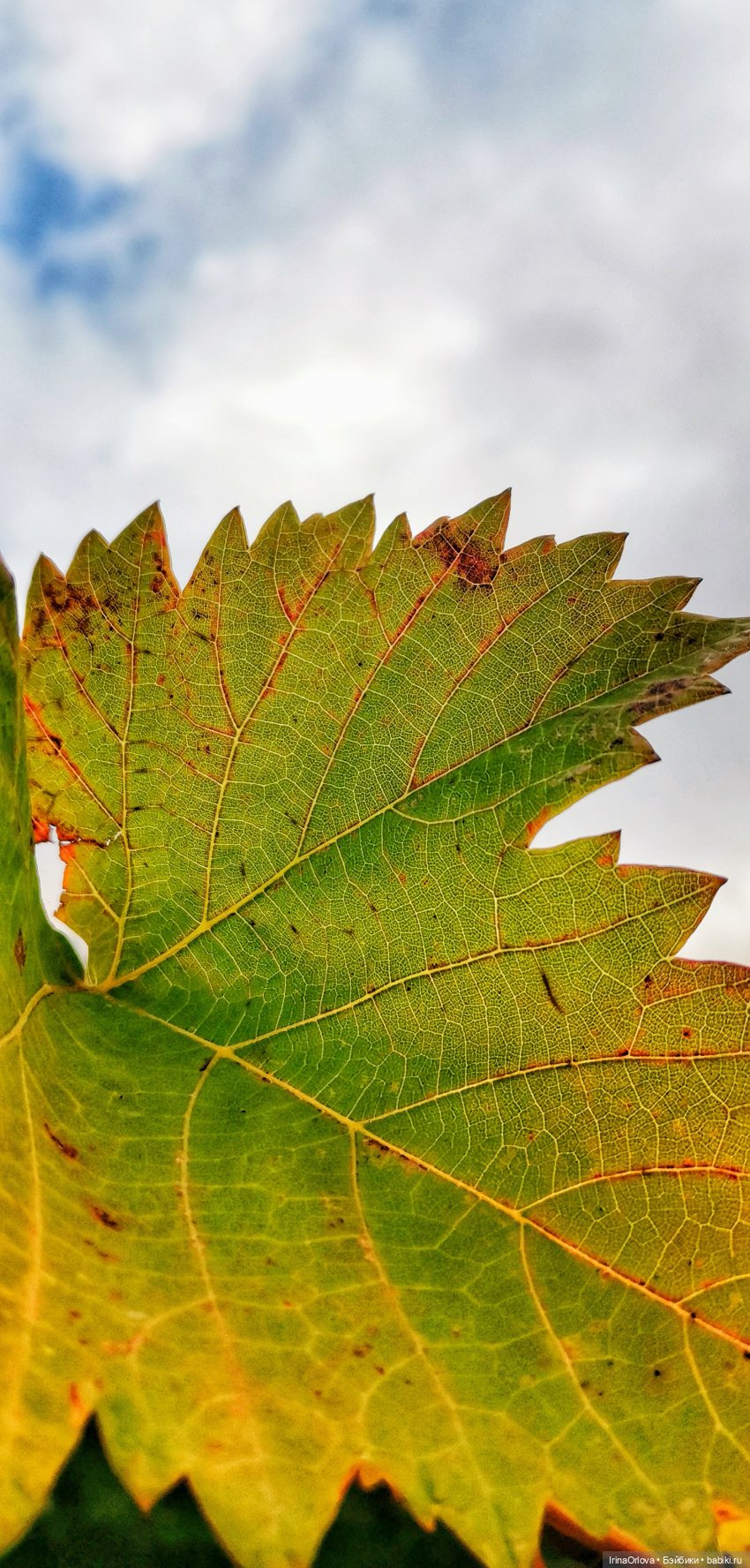 Осенний день так удивительно хорош🍁🍂🌞🧡