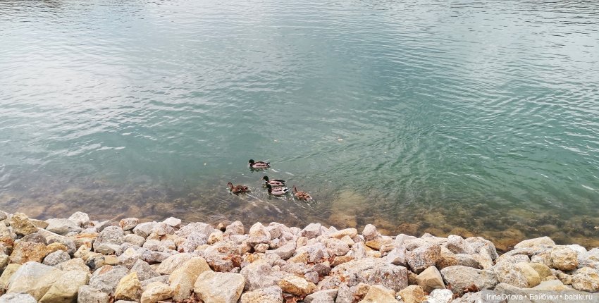 Маша в Абрау - Дюрсо — Игровые куклы Zwergnase (Цвергназе) Junior: Джуниор