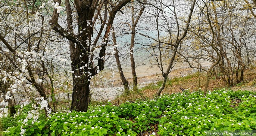 Маша в Абрау - Дюрсо — Игровые куклы Zwergnase (Цвергназе) Junior: Джуниор