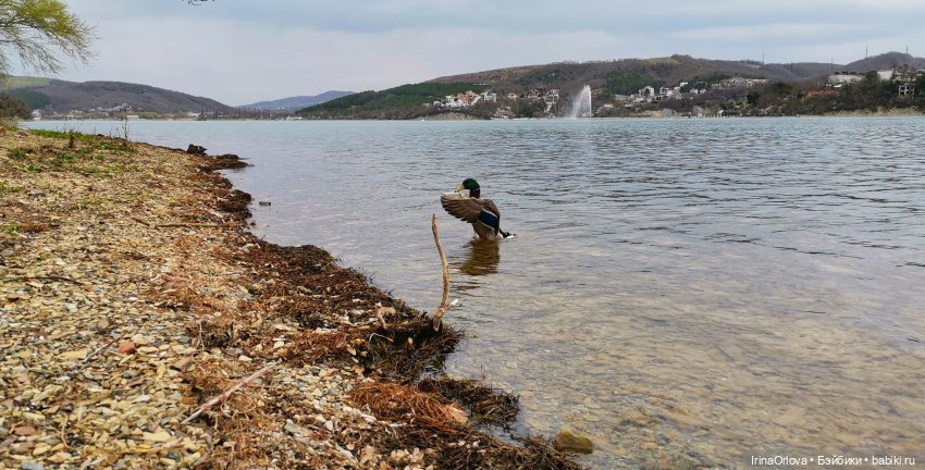 Маша в Абрау - Дюрсо — Игровые куклы Zwergnase (Цвергназе) Junior: Джуниор