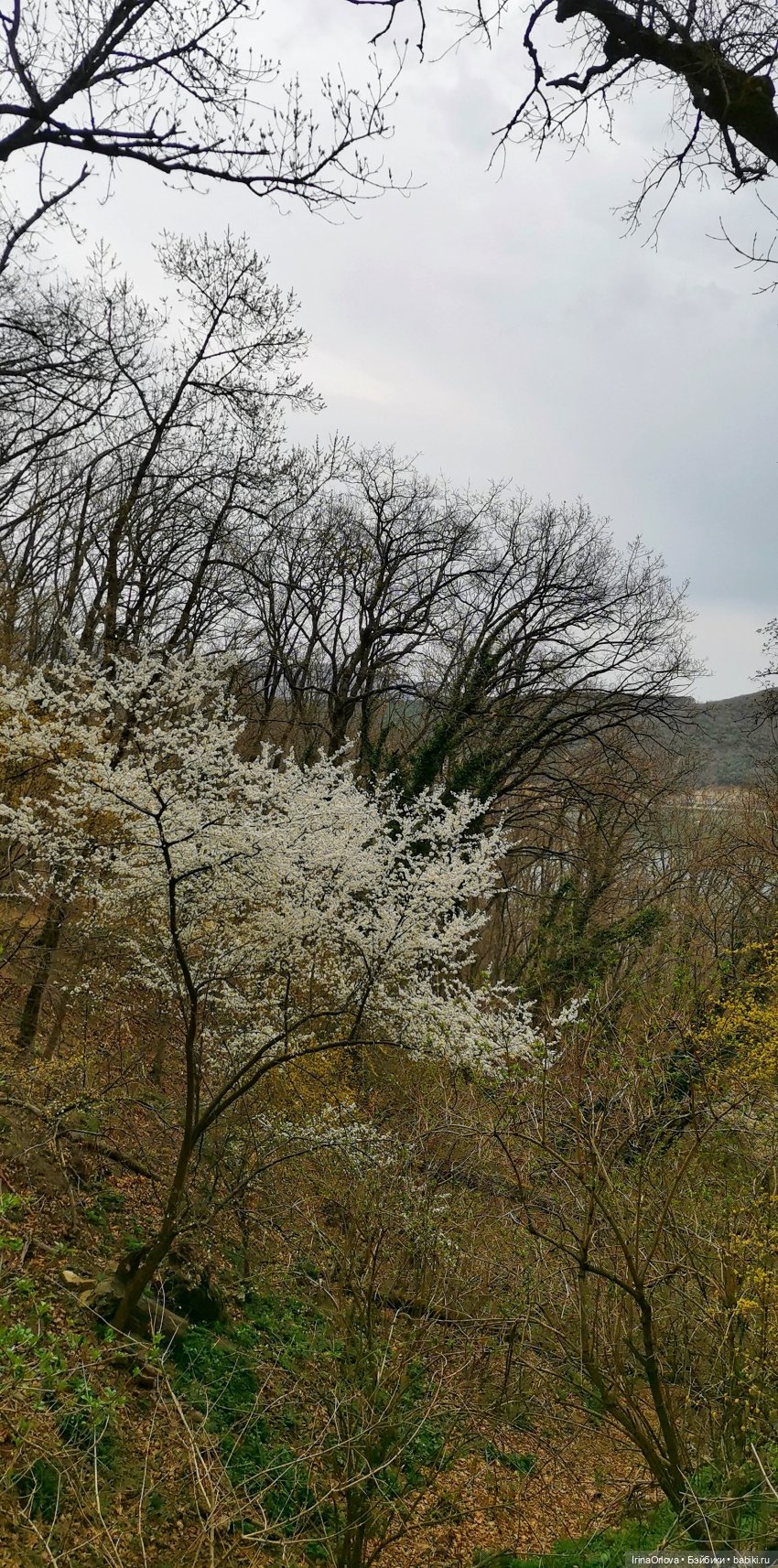 Маша в Абрау - Дюрсо — Игровые куклы Zwergnase (Цвергназе) Junior: Джуниор